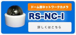 防犯カメラの販売「RS-NC-I」